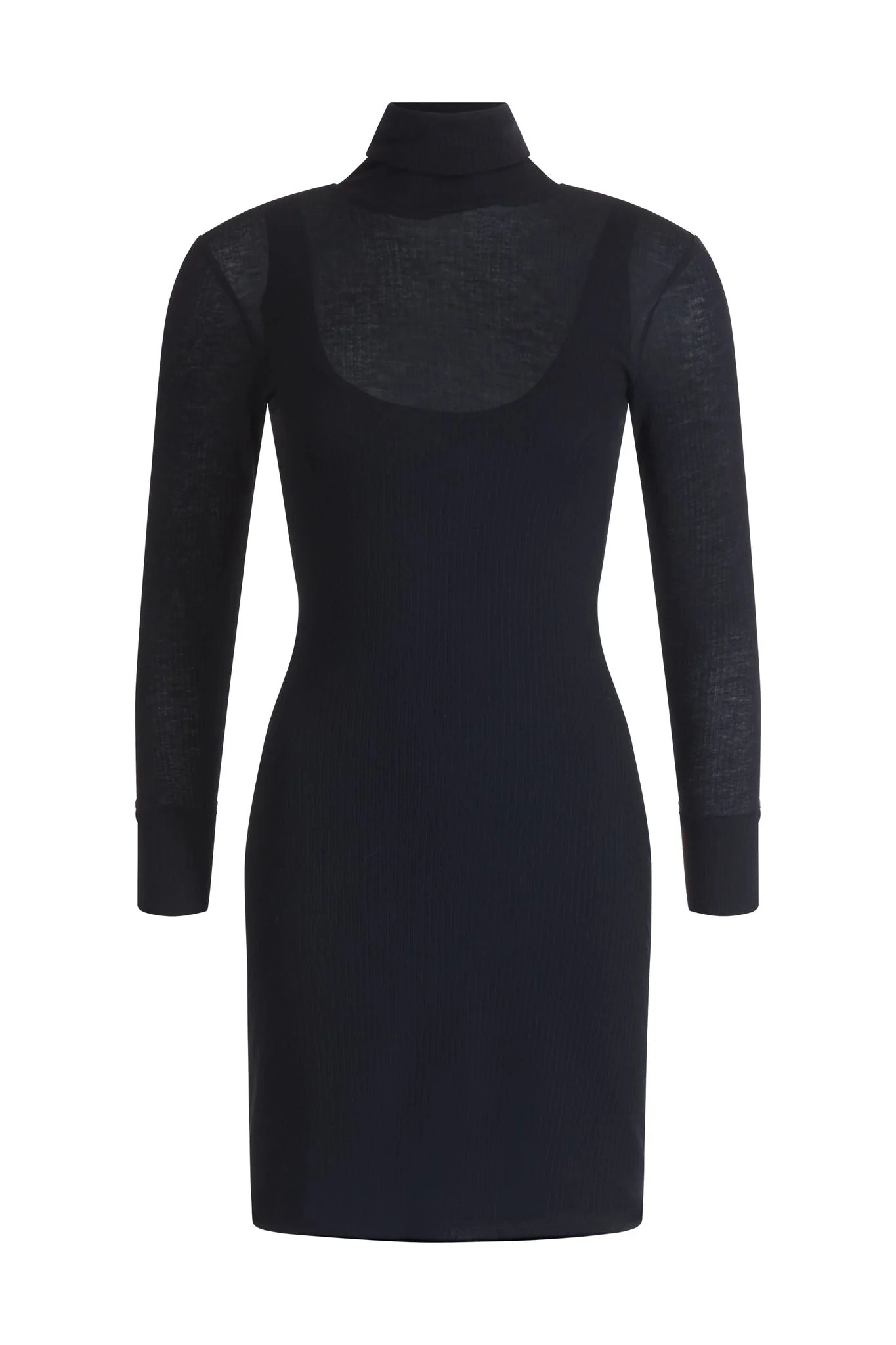 TINA - Image 4
