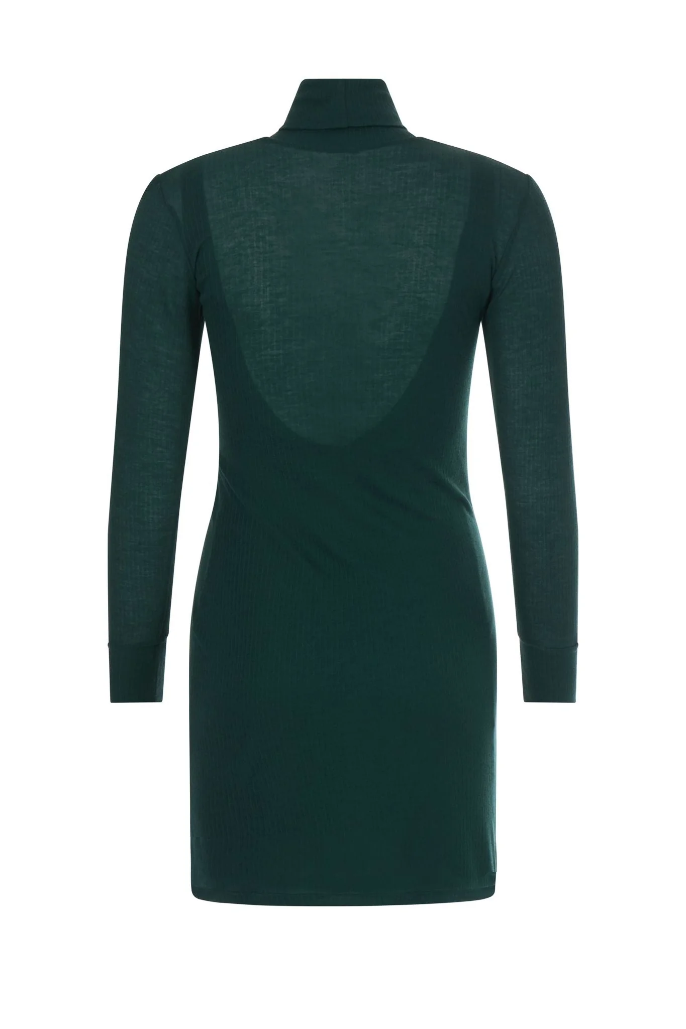 TINA - Image 5